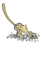PMF Logo